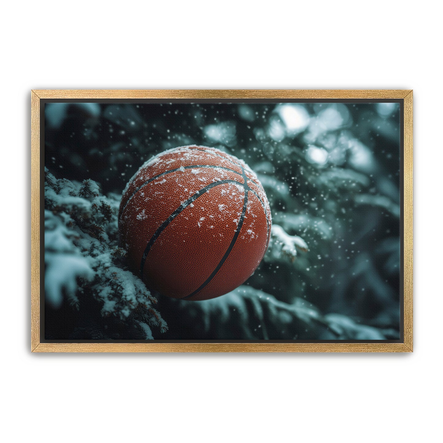 Basketball and Snow