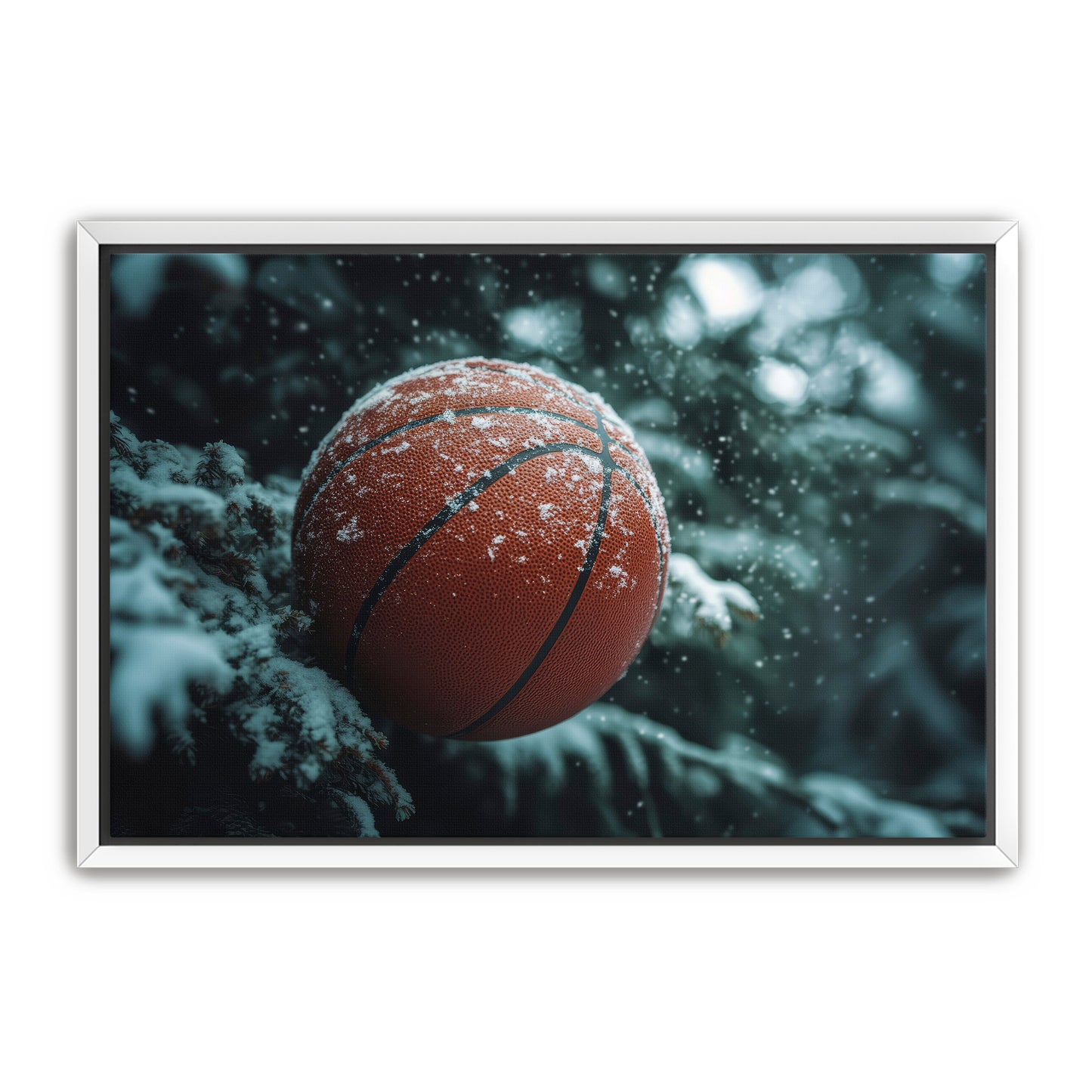 Basketball and Snow