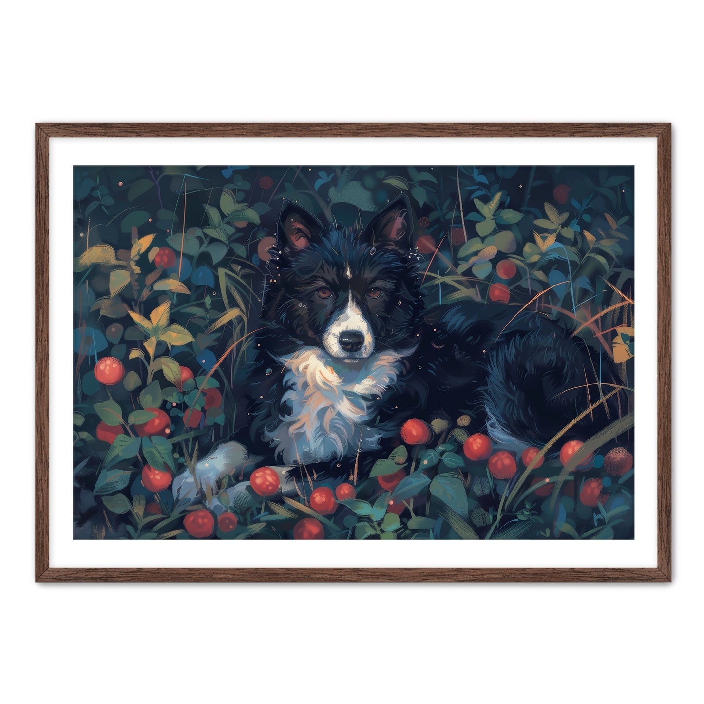 Collie Field