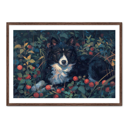 Collie Field
