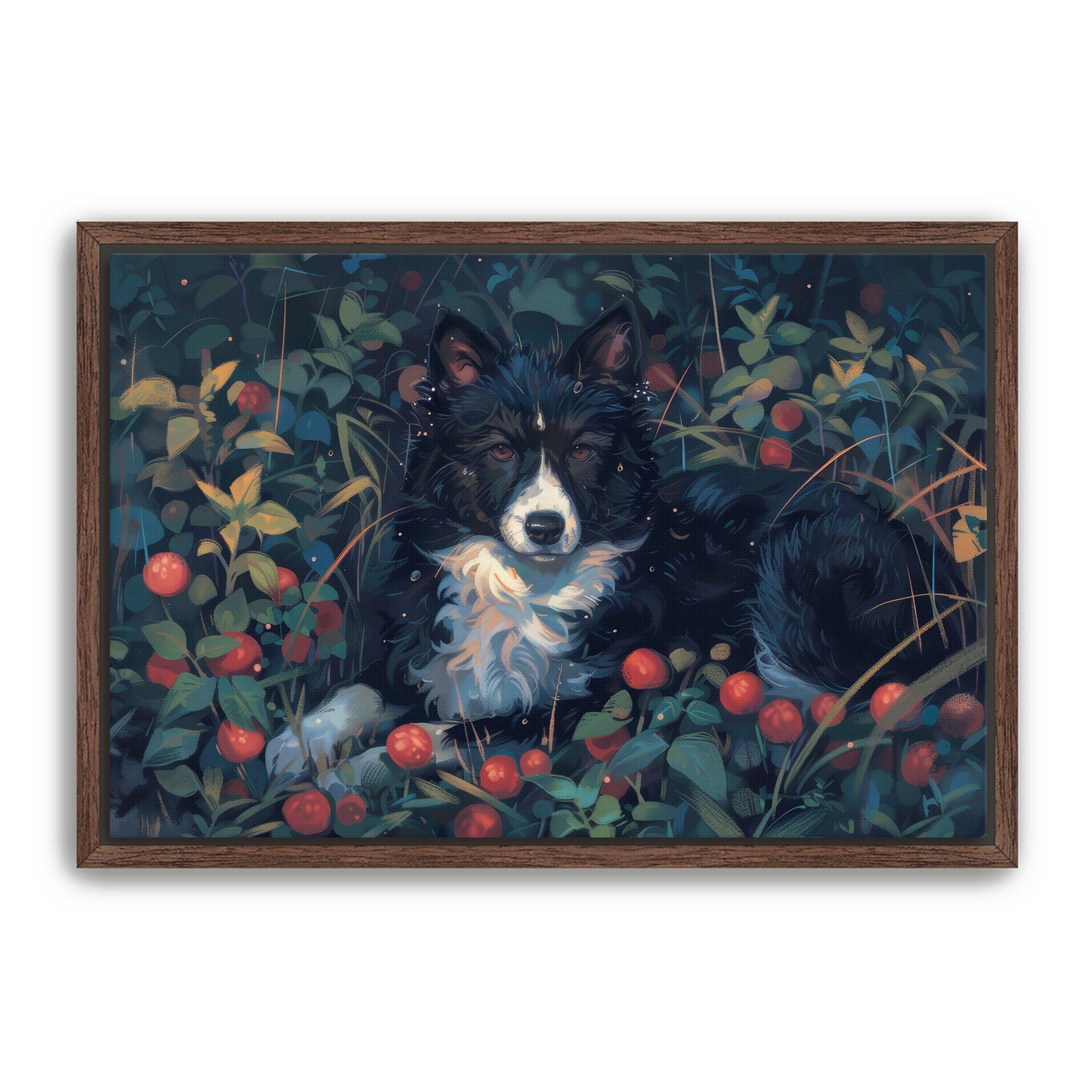 Collie Field