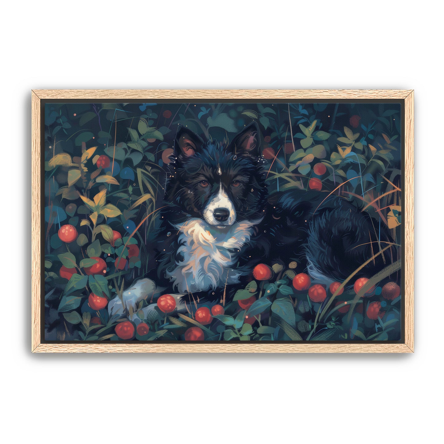 Collie Field