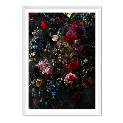 Dark Botany