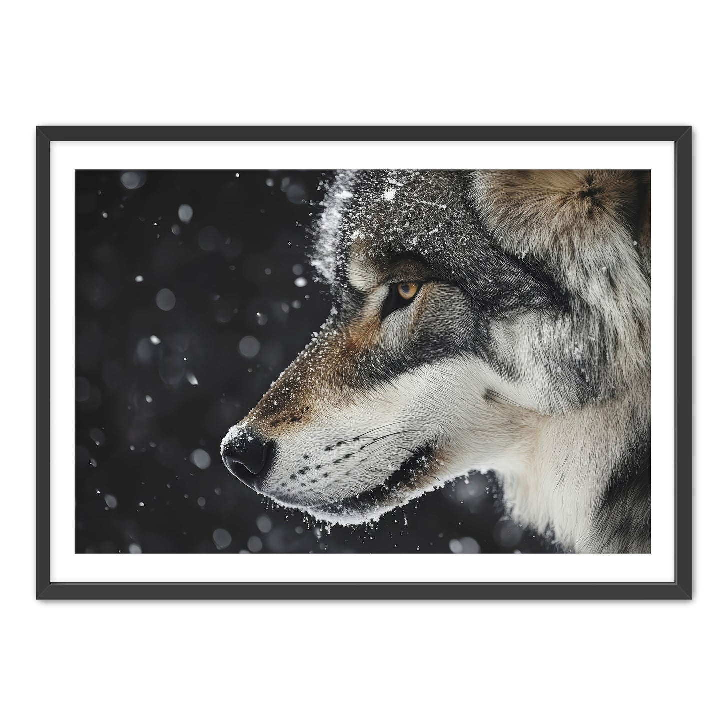 First Snowfall