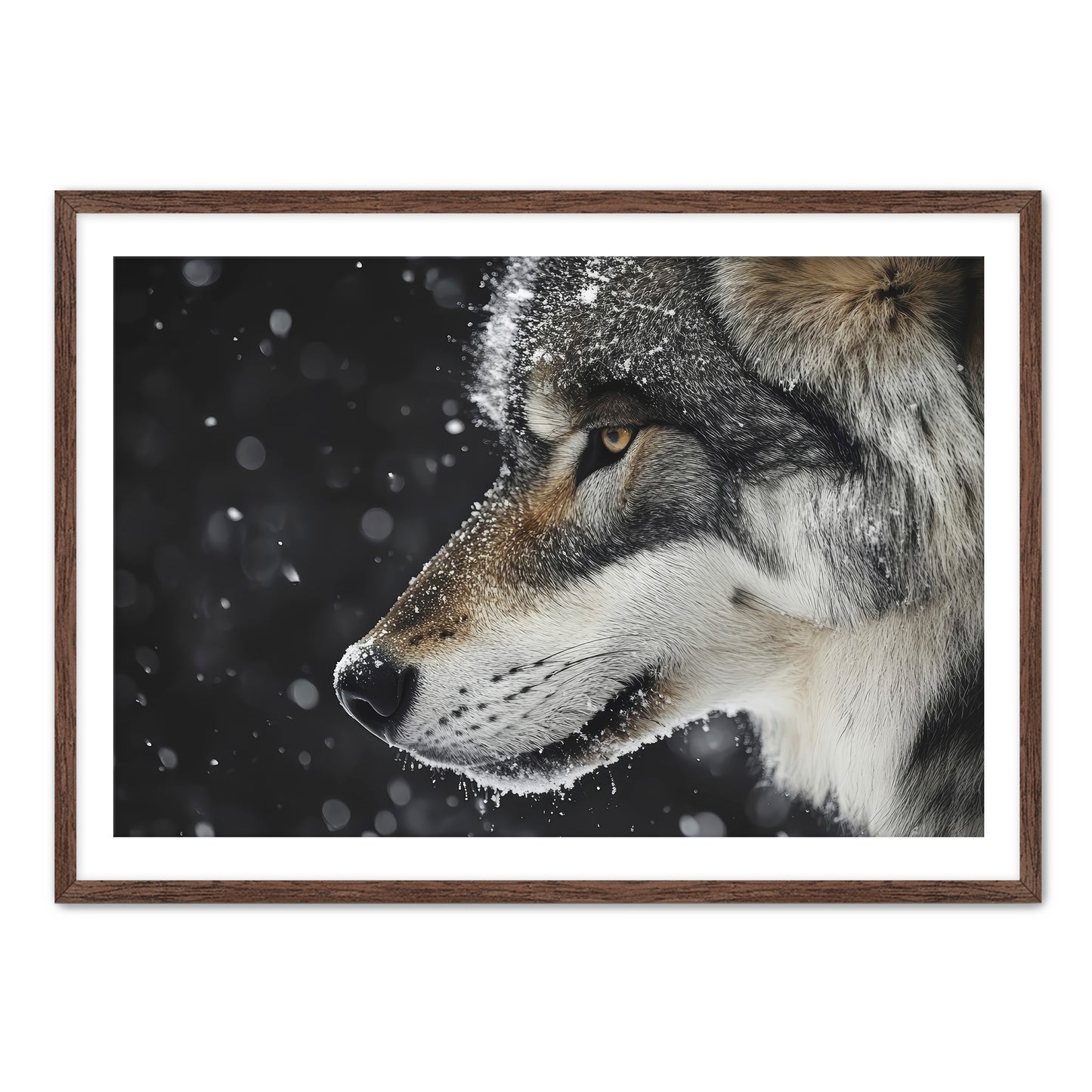 First Snowfall