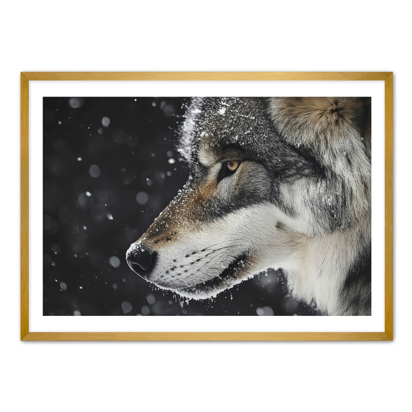 First Snowfall
