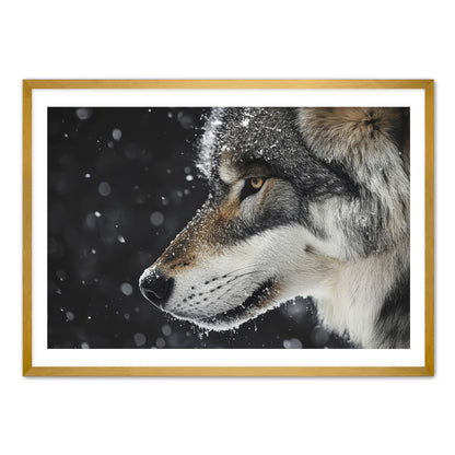 First Snowfall