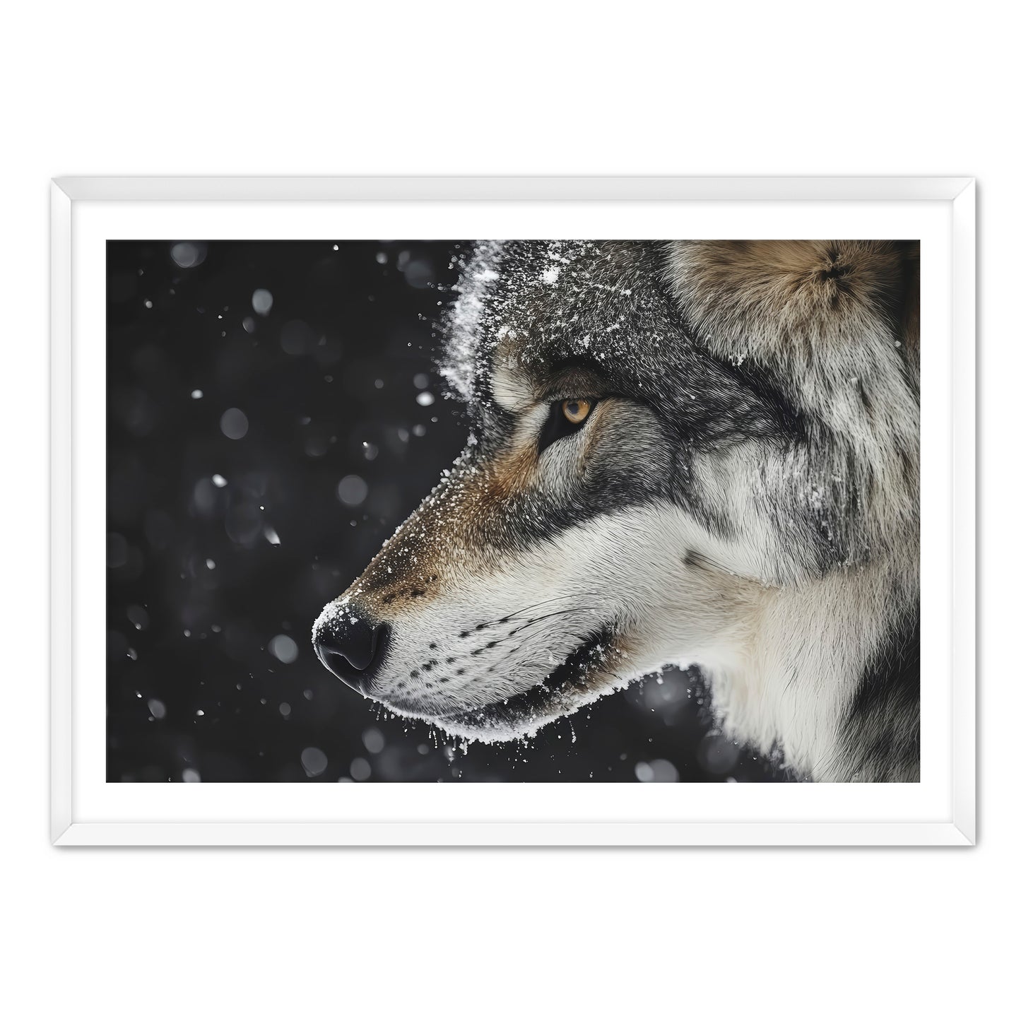 First Snowfall