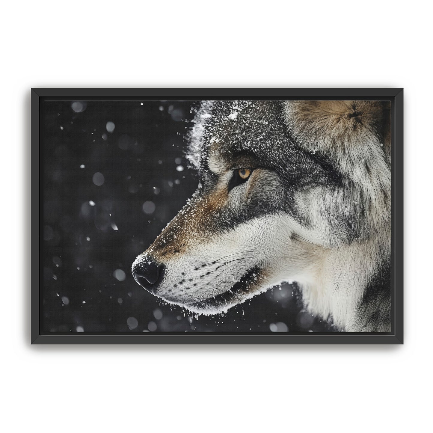 First Snowfall