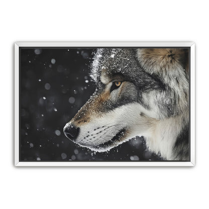 First Snowfall