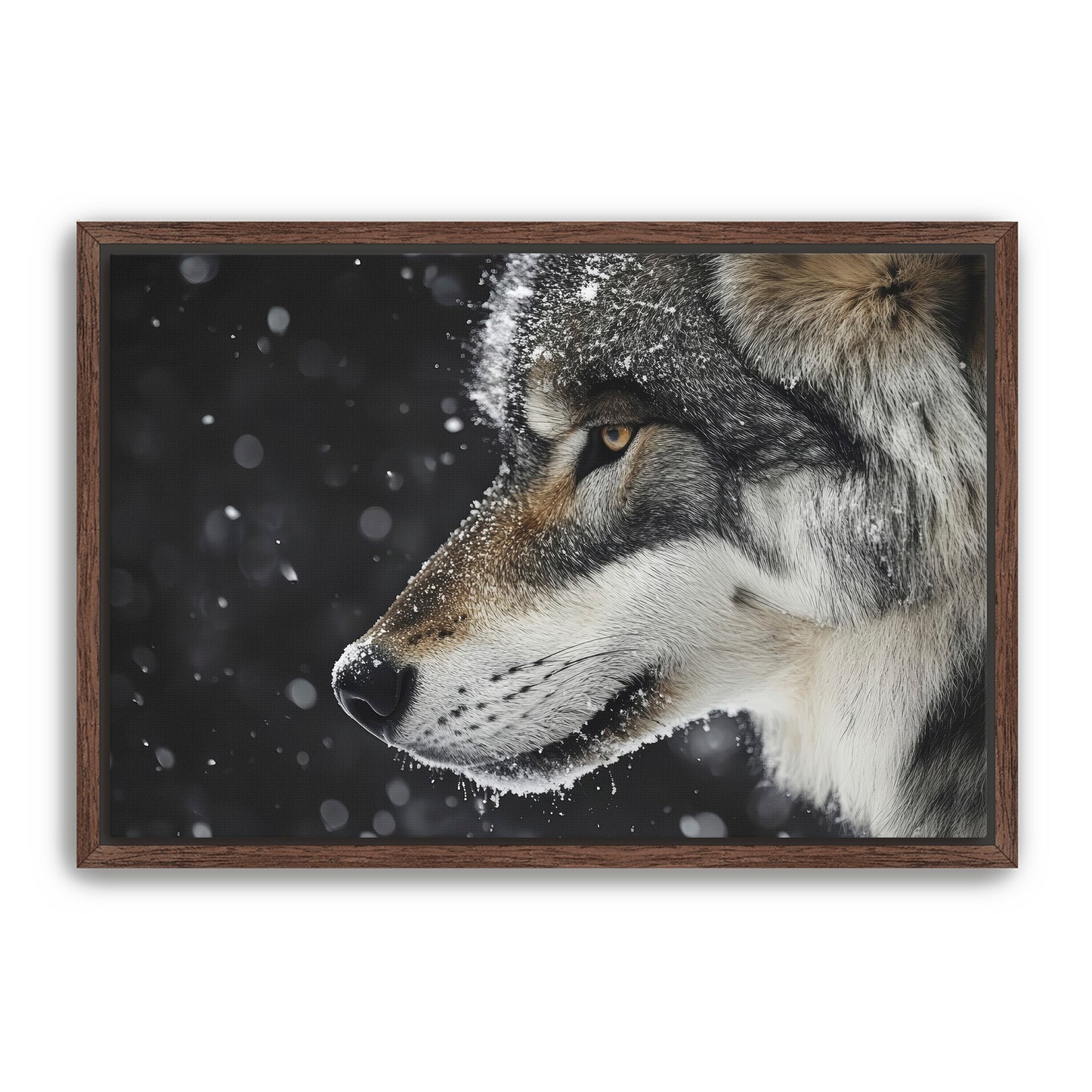 First Snowfall