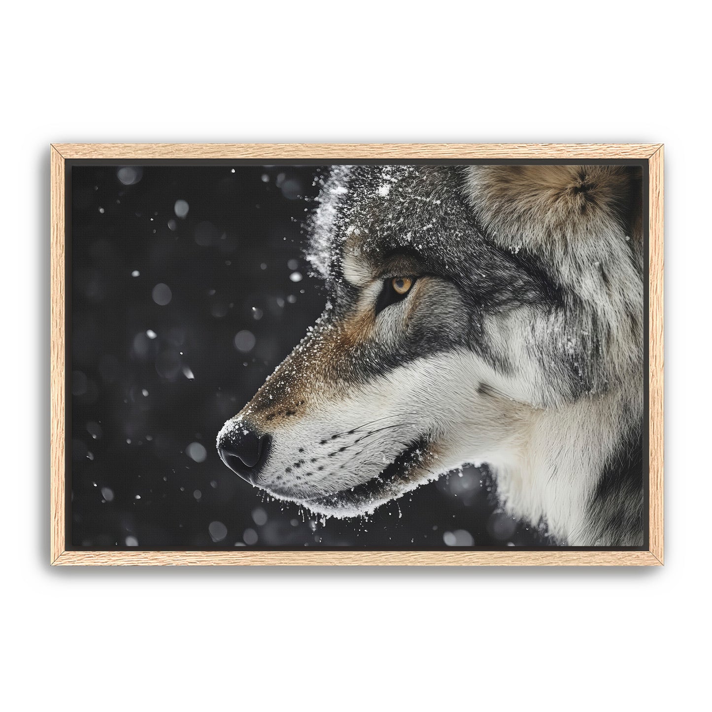 First Snowfall