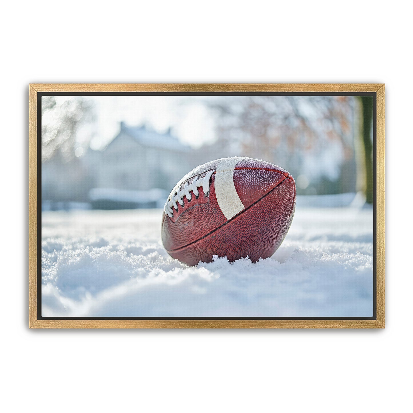 Football in Snow