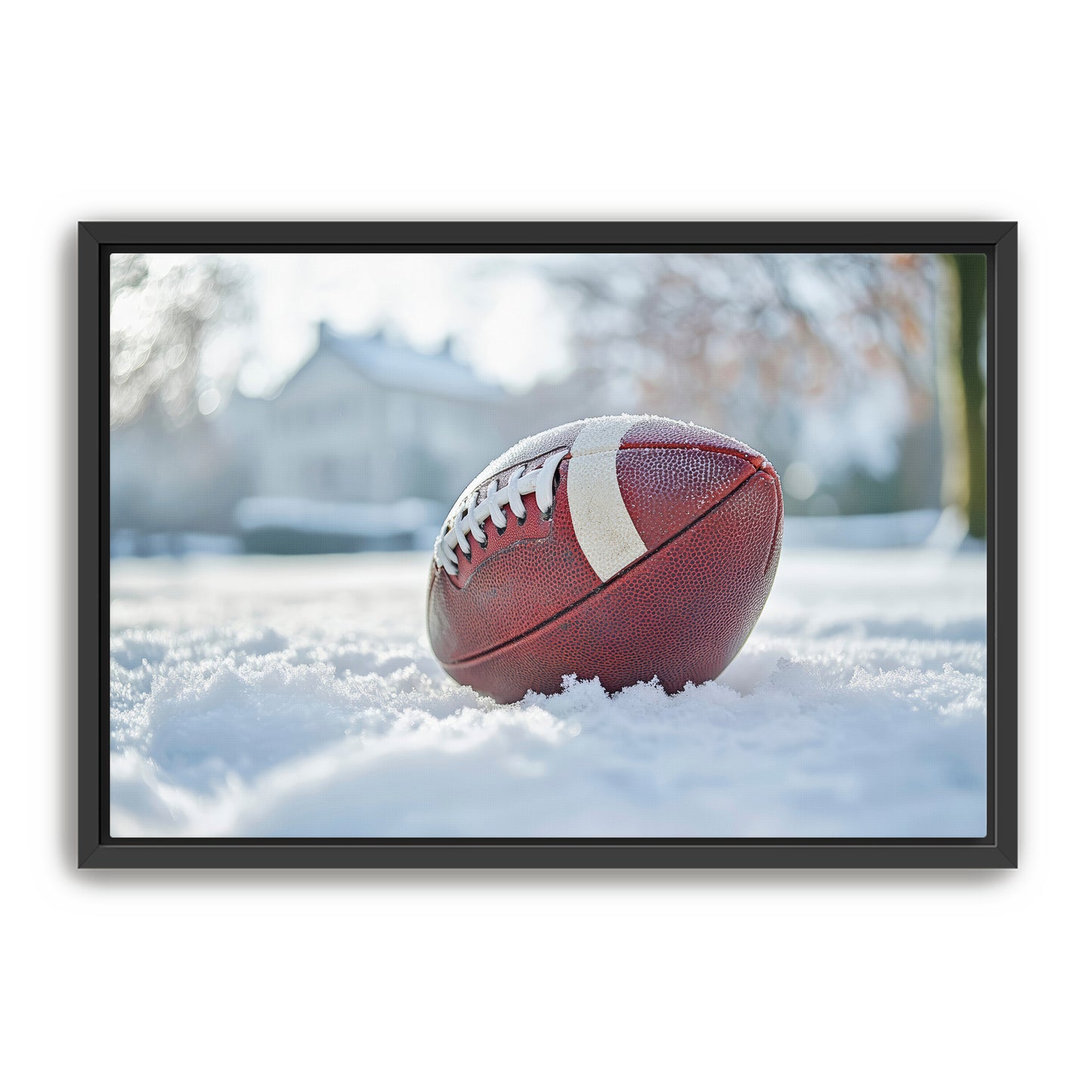 Football in Snow