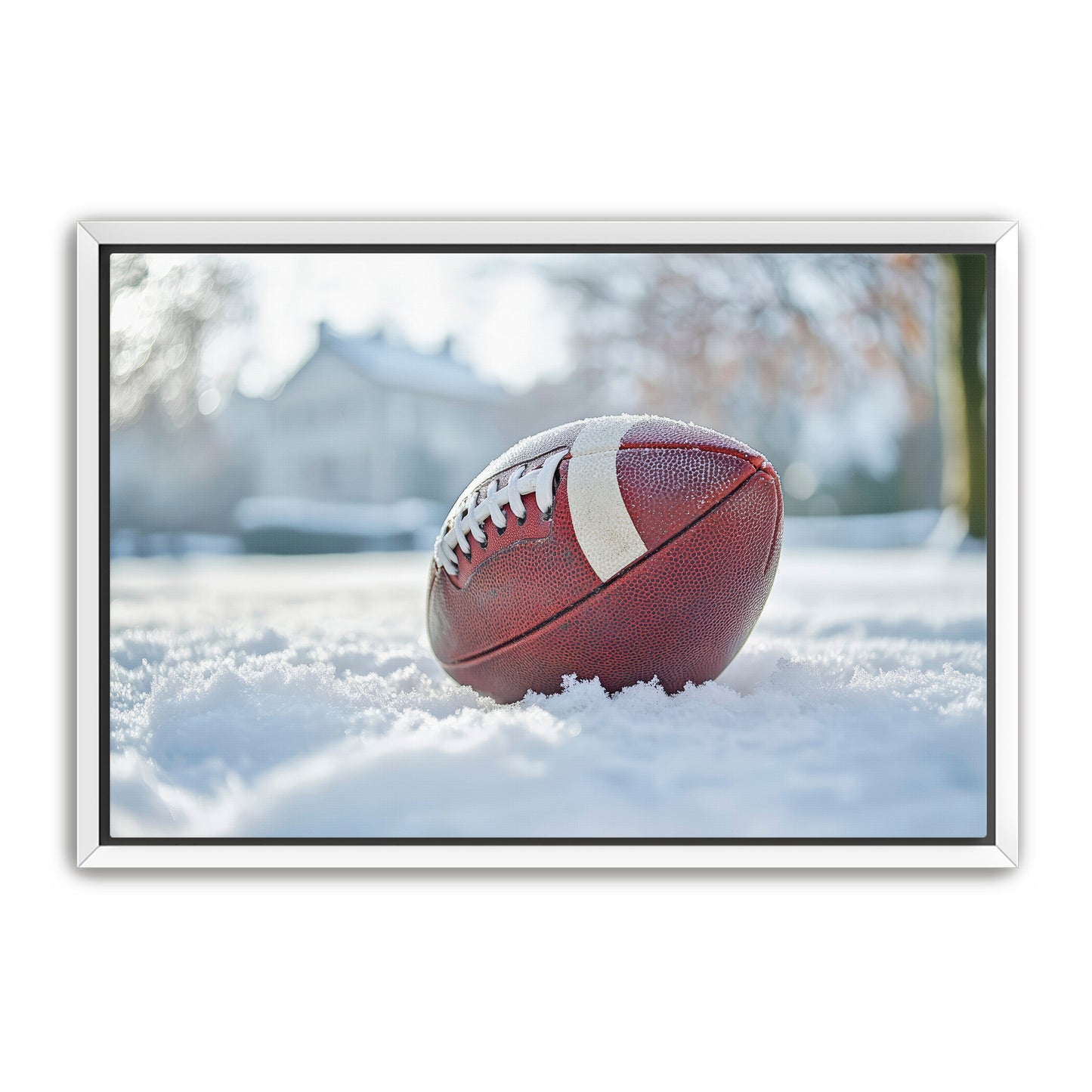 Football in Snow