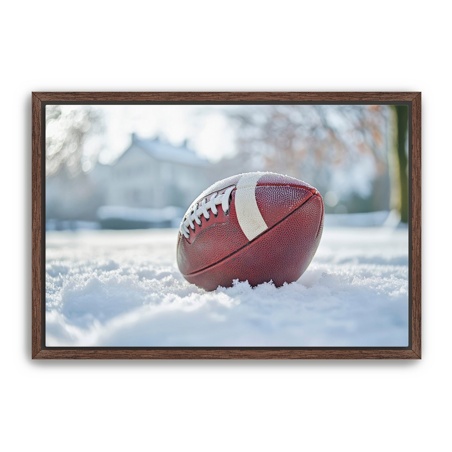 Football in Snow