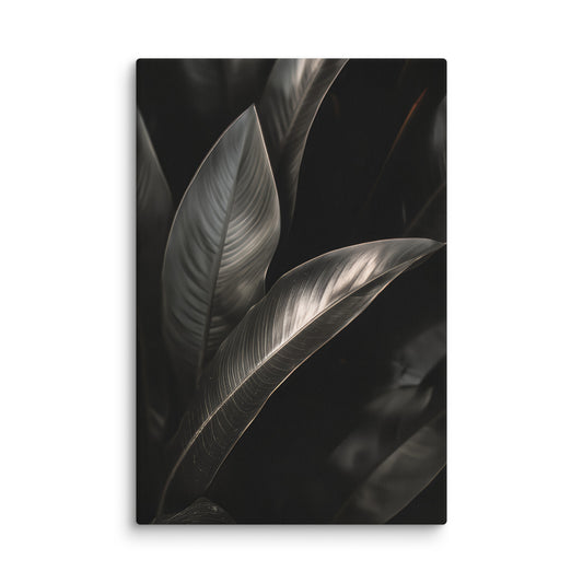 Black and White Leaves